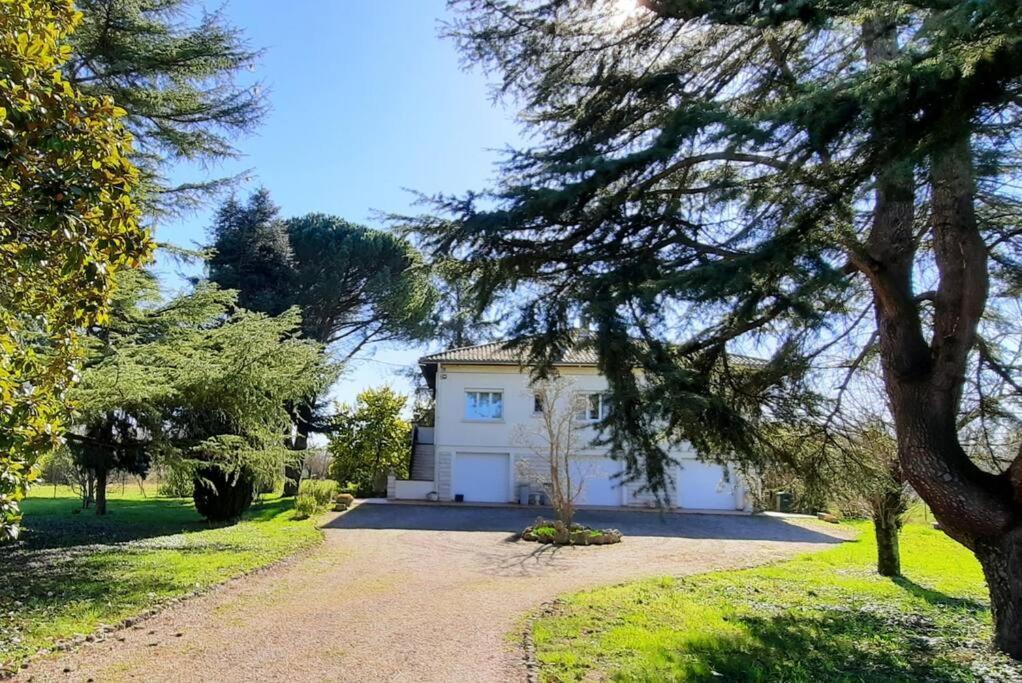 La Maison De Lili Colayrac-Saint-Cirq Bagian luar foto