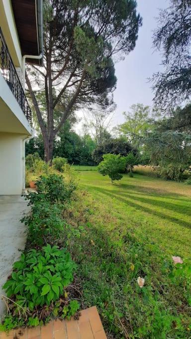 La Maison De Lili Colayrac-Saint-Cirq Bagian luar foto
