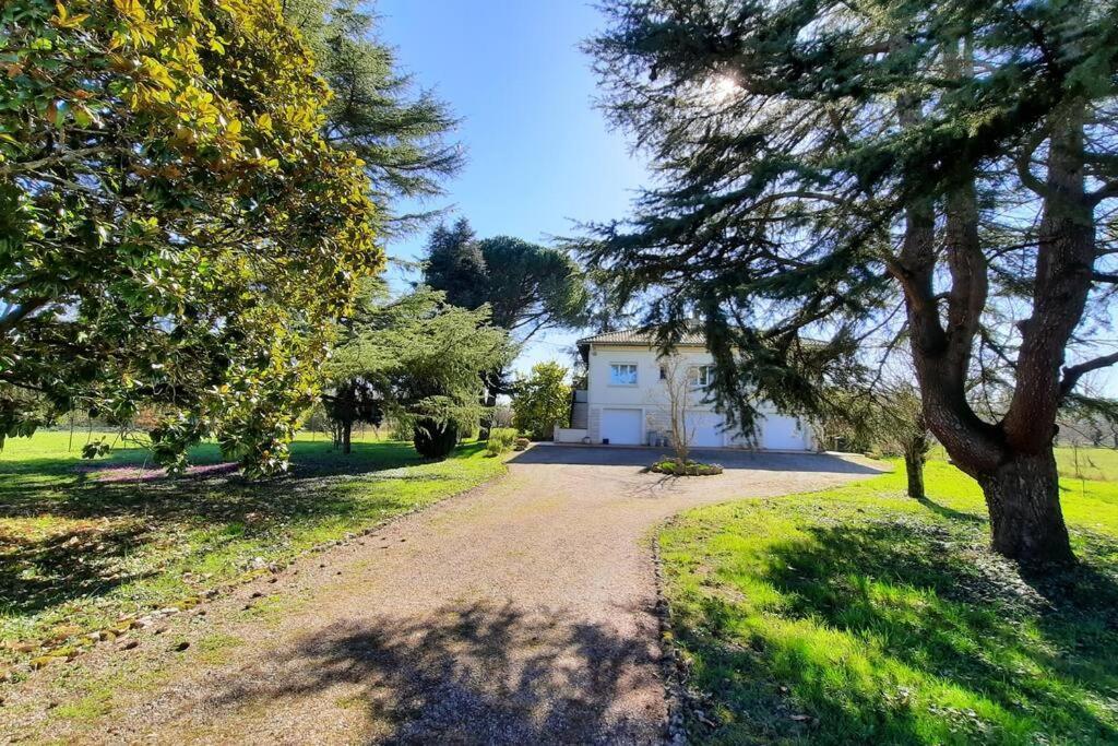 La Maison De Lili Colayrac-Saint-Cirq Bagian luar foto