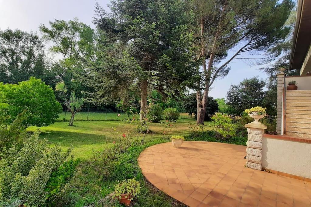 La Maison De Lili Colayrac-Saint-Cirq Bagian luar foto