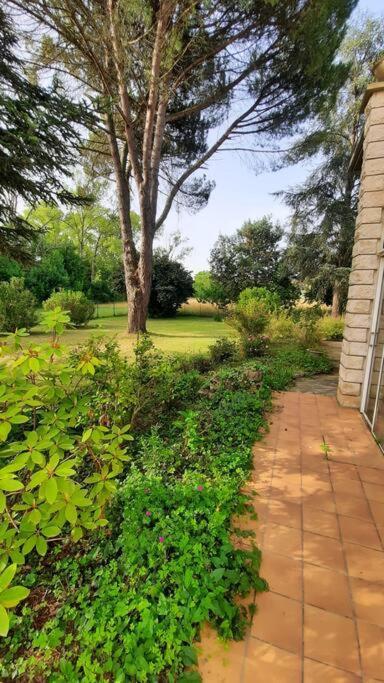 La Maison De Lili Colayrac-Saint-Cirq Bagian luar foto