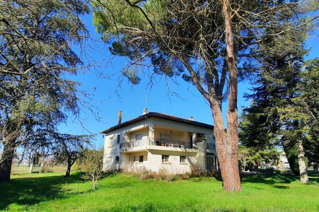 La Maison De Lili Colayrac-Saint-Cirq Bagian luar foto
