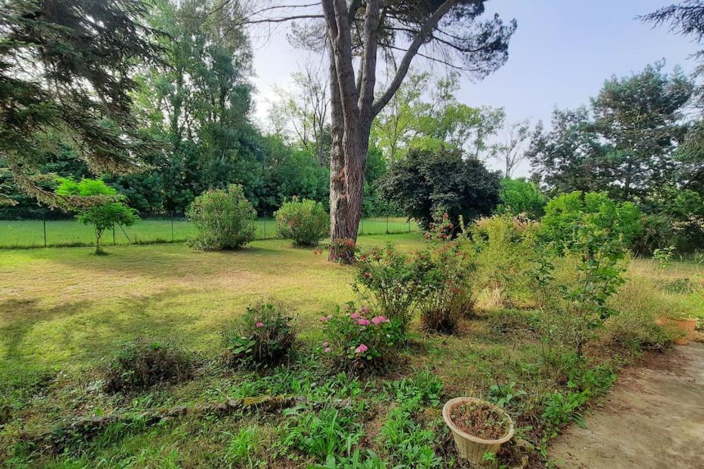 La Maison De Lili Colayrac-Saint-Cirq Bagian luar foto