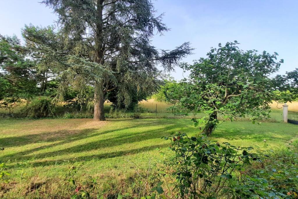 La Maison De Lili Colayrac-Saint-Cirq Bagian luar foto