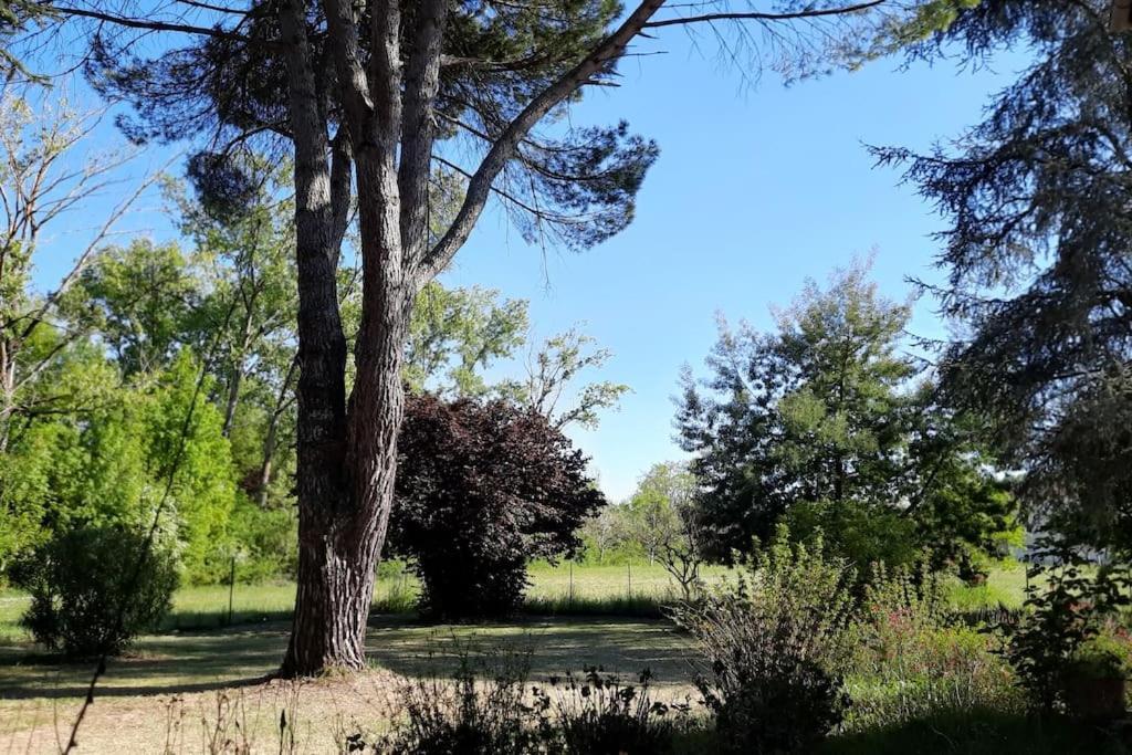 La Maison De Lili Colayrac-Saint-Cirq Bagian luar foto